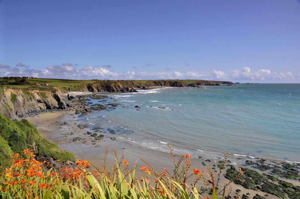 Beach Haven Apartments Tramore Eksteriør bilde